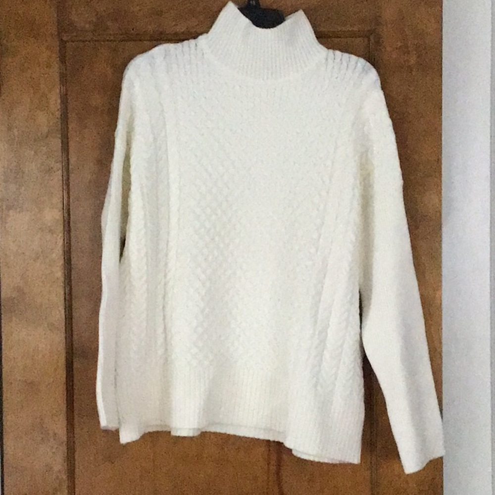 Truth turtleneck sweater L NWT